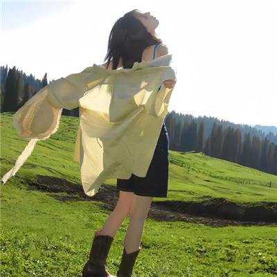 海豚的故事2